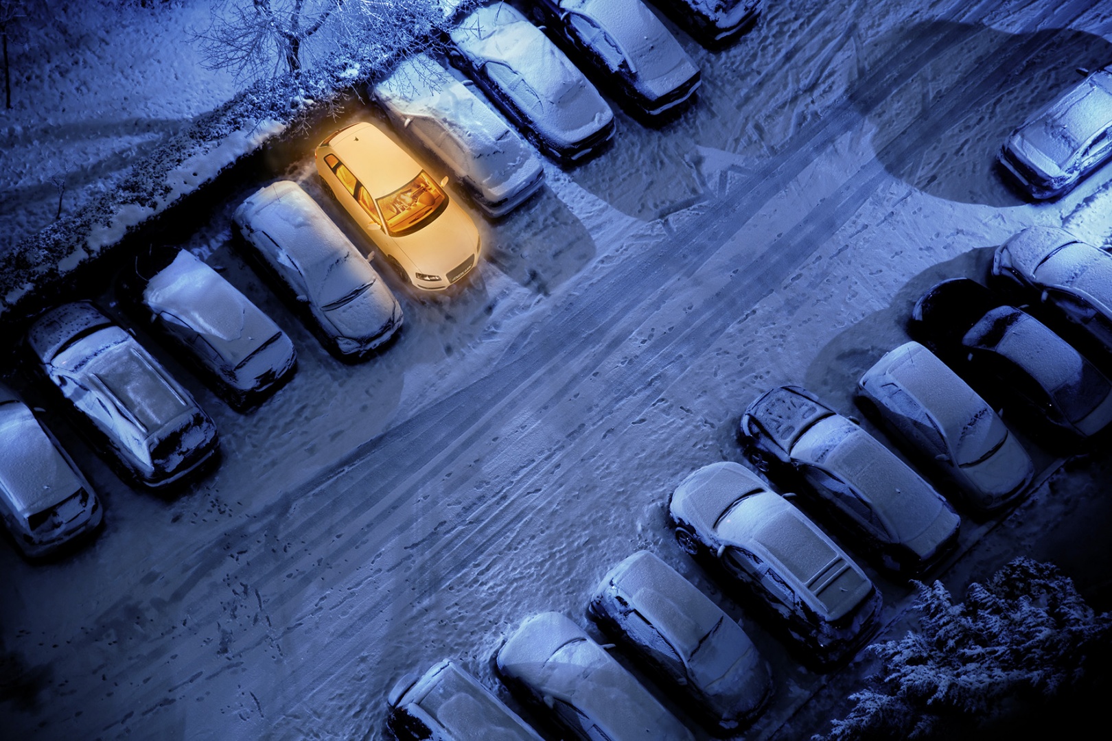 webasto_glowing_car_1_2015_08_12_orig.jpg