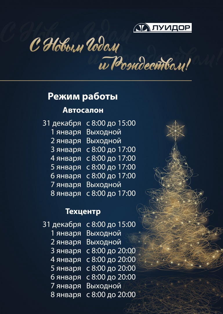новогодний режимник Саранск общий.jpg