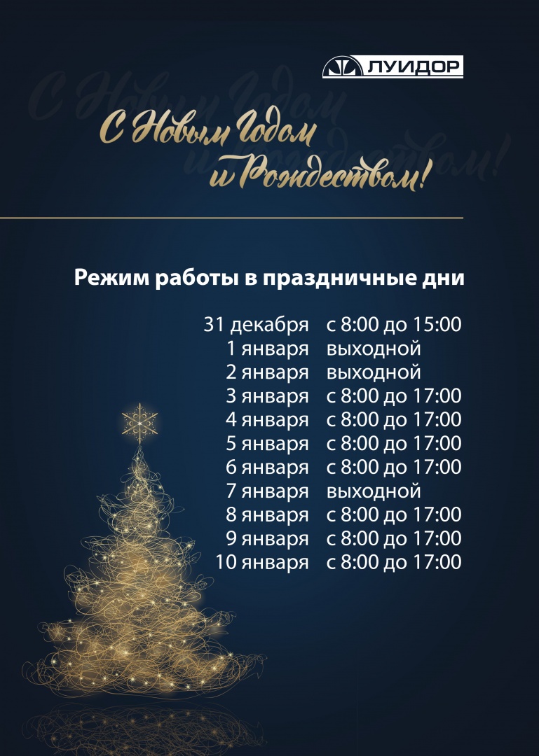 новогодний режимник Чебоксары.jpg